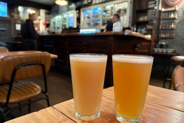 Top 10 Craft Beer Bars in Auckland