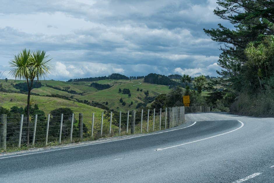 Aucklands News Ecosystem