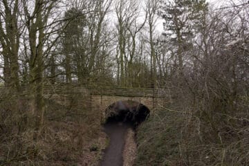 Chamberlain Park shared path: Bridge over Auckland Walk