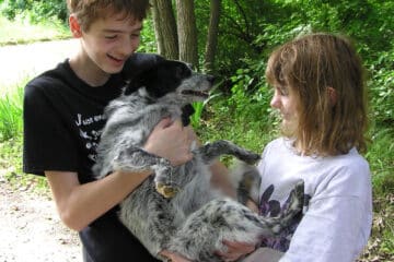 Lloyd Elsmore dog park: it takes two to hold the dog