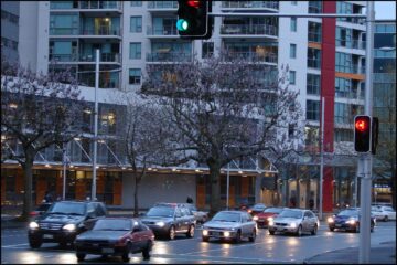 National Party list: Rainy day in Auckland city street with Empress Tree