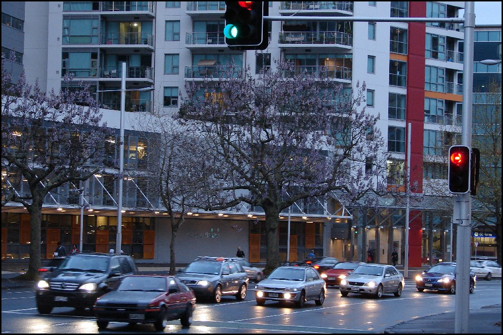 National Party list: Rainy day in Auckland city street with Empress Tree